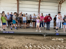 JFqZqVEM0Npz-IMG_2649